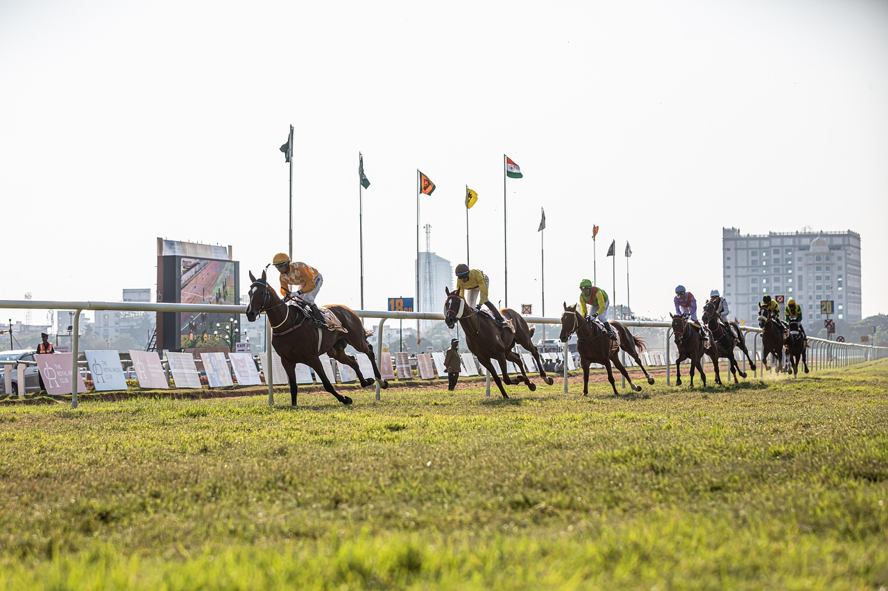 The Most Anticipated Horse Races to Watch in 2026 - Grand National Winners