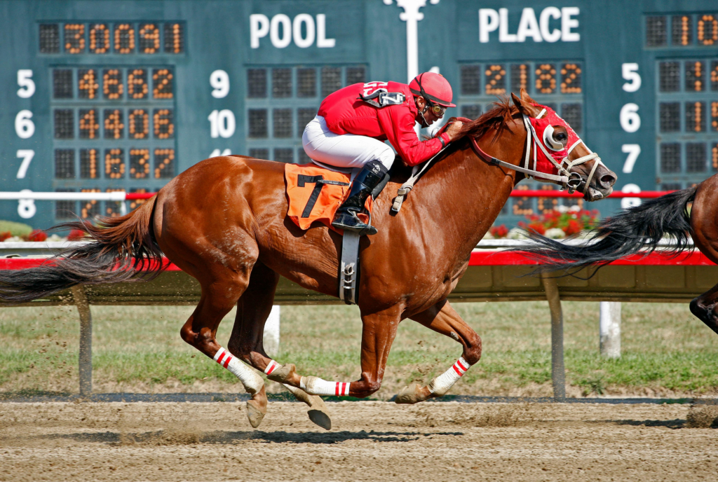 Image Showing A Jockey Riding A Brown Horse 